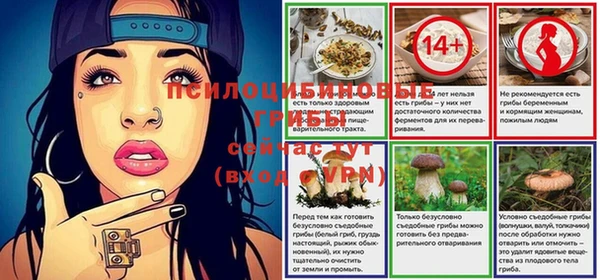 спиды Баксан