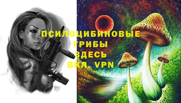 спиды Баксан