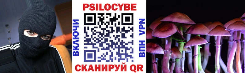 Псилоцибиновые грибы Psilocybine cubensis Ершов